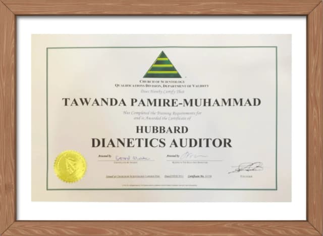 Certified Auditor